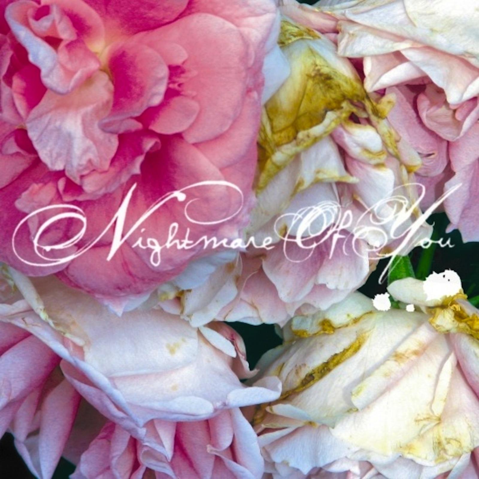 Nightmare of You by Nightmare of You; pink and white flowers